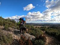 RANDONNER DANS L'HERAULT・le Castellas de Montpeyroux