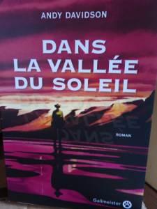 Dans la vallée du soleil de Andy Davidson