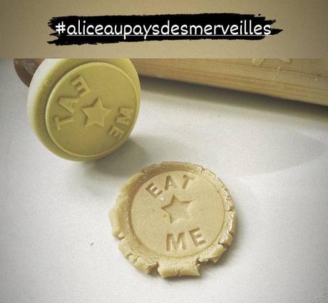 La petite Cuisine d’Alice au pays des merveilles. Christine FERBER – 2006 (Cuisine) La petite Cuisine d’Alice au pays des merveilles. Christine FERBER – 2006 (Cuisine)