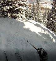 Skier en foret et rester en contrôle