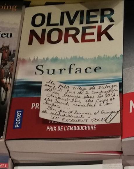 Surface Surface d'Olivier Norek, Editions Michel Lafon
