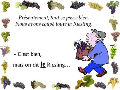 Divers - Les Vendanges