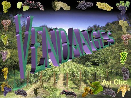 Divers - Les Vendanges