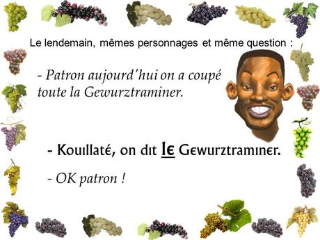 Divers - Les Vendanges