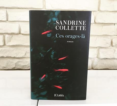 Ces orages-là – Sandrine Collette