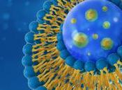 MICI liposomes pour réparer tissus intestinaux