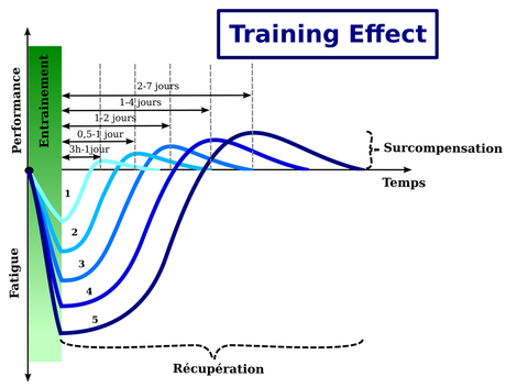 7 métriques qu’il faut comprendre pour l’entrainement en course à pied Training effect