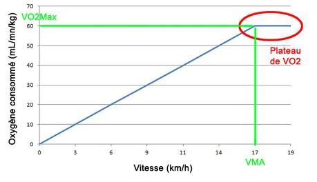 7 métriques qu’il faut comprendre pour l’entrainement en course à pied Correspondance VMA VO2max