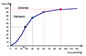 7 métriques qu’il faut comprendre pour l’entrainement en course à pied 7 métriques qu’il faut comprendre pour l’entrainement en course à pied
