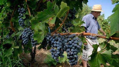 Pays Etranger - L'Argentine