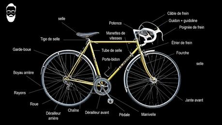 Anatomie vélo de course vintage Le Jeune