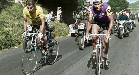 Raymond Poulidor (à droite) et Jacques Anquetil au coude à coude, Tour de France 1964. © Presse Sports