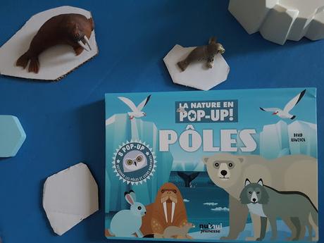 POLES - La nature en pop-up de David Hawcock ♥ ♥ ♥