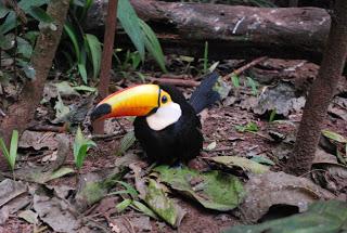 La boutique aux miracles