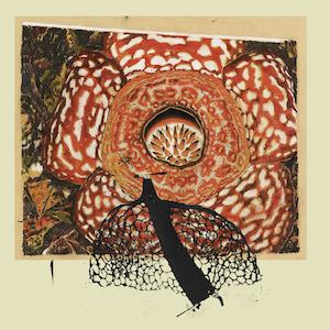 David Fenech & Klimperei David Fenech & Klimperei