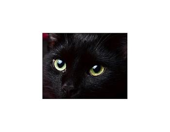 Sophie Brassart  |  Dans l’allée