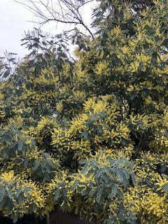 Parlons d'anniversaire