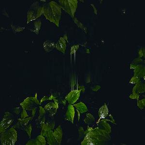 Martina Bertoni Martina Bertoni