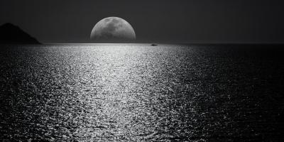 Philippe Leuckx, Nuit close Philippe Leuckx, Nuit close