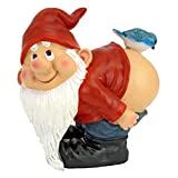 Meilleure statue de jardin – Comparatif %currentmonth% %currentyear% Design Toscano Loonie Moonie Nu Fesses Statue de Gnome De Jardin, Moyen 20.25 cm, polyrésine, palette complète de couleur