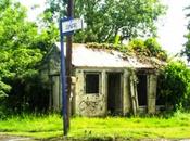 Guadeloupe tout fout camp