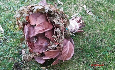 Projet 52-2021 #7 – Fleurs séchées Projet 52-2021 #7 – Fleurs séchées