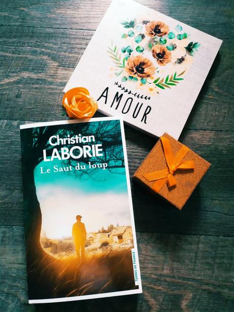 Le saut du loup de Christian Laborie aux éditions Les presses de la cité