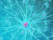 NEURODÉGÉNÉRESCENCE nanocapsules pour relancer neurogenèse