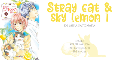 Stray cat & sky lemon #1 • Mika Satonaka
