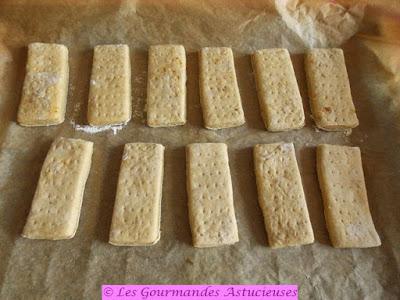 Biscuits de soldat longue conservation (Vegan) Biscuits de soldat longue conservation (Vegan)