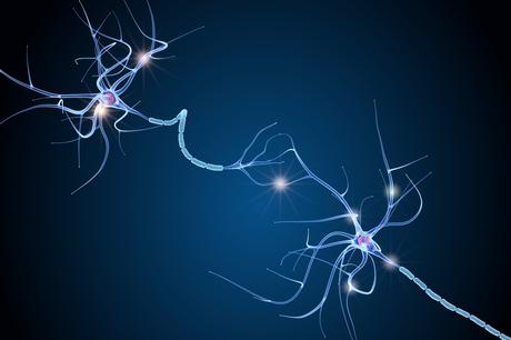 Mais que se passe-t-il dans un réseau neuronal, lorsqu'un neurone meurt ? (Visuel Adone Stock 224474654)