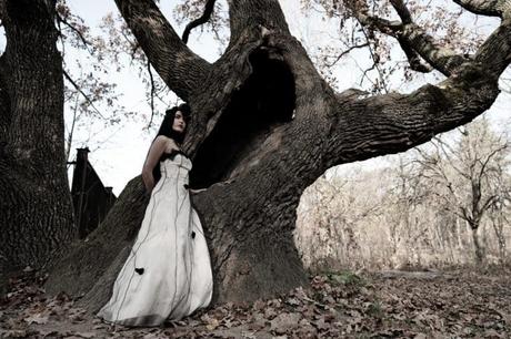 Thème mariage automne : Des photos et vidéo à l’esprit moody Une jeune mariée qui fait une séance photo devant un arbre sans feuille pour un theme mariage automne.