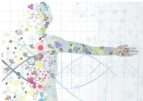 Il est possible de concevoir des protéases qui vont cibler avec une très haute sélectivité des protéines responsables de maladies (Visuel The Liu lab). 