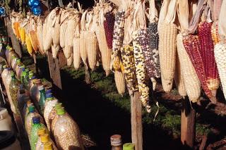 Le labyrinthe de la solitude suivi de Critique de la pyramide