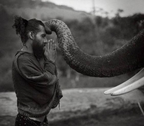 Mâlinîvârttika 9-10 : de la richesse ancienne à une richesse nouvelle