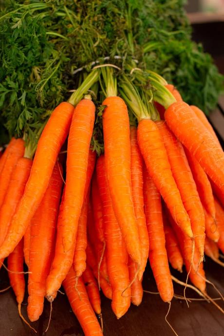 que planter en mars potager carottes jardinage semer plantation