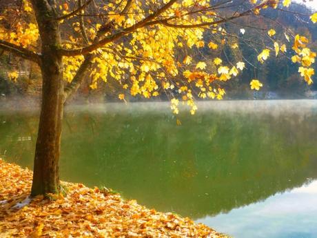 L'automne - L'étang de Lucelle, Jura alsacien © French Moments