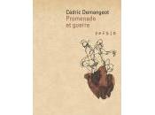 (Note lecture), Cédric Demangeot, Promenade guerre, Pierre Vinclair