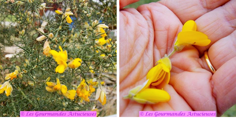 Galettes à la courge et au boulgour (Vegan) Galettes à la courge et au boulgour (Vegan)