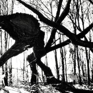 Dirty Pictures Dirty Pictures