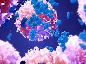 IMMUNOTHÉRAPIE cancer promesses anticorps bispécifiques