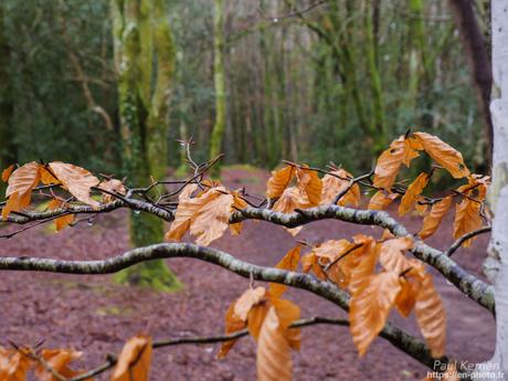 baie de #Douarnenez #Bretagne #Finistère baie de #Douarnenez #Bretagne #Finistère