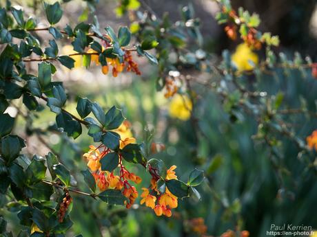 baie de #Douarnenez #Bretagne #Finistère baie de #Douarnenez #Bretagne #Finistère