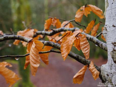 baie de #Douarnenez #Bretagne #Finistère baie de #Douarnenez #Bretagne #Finistère