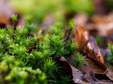 baie de #Douarnenez #Bretagne #Finistère baie de #Douarnenez #Bretagne #Finistère