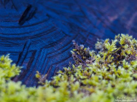 baie de #Douarnenez #Bretagne #Finistère baie de #Douarnenez #Bretagne #Finistère