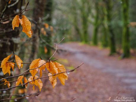 baie de #Douarnenez #Bretagne #Finistère baie de #Douarnenez #Bretagne #Finistère