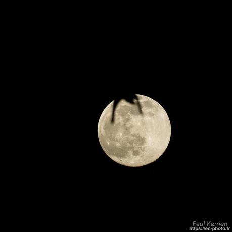 baie de #Douarnenez #Bretagne #Finistère baie de #Douarnenez #Bretagne #Finistère