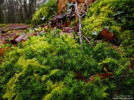 baie de #Douarnenez #Bretagne #Finistère baie de #Douarnenez #Bretagne #Finistère