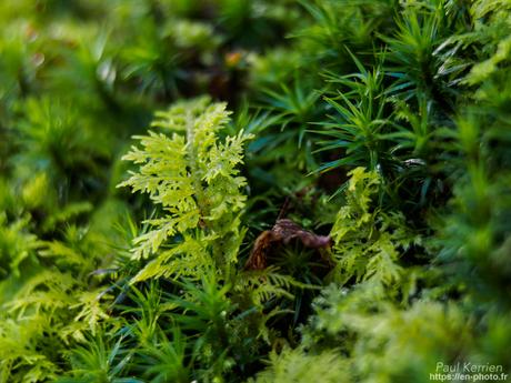 baie de #Douarnenez #Bretagne #Finistère baie de #Douarnenez #Bretagne #Finistère